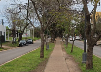 «Hoy nublado con lluvias aisladas hacia la tarde noche en la Tierra de Palmares»