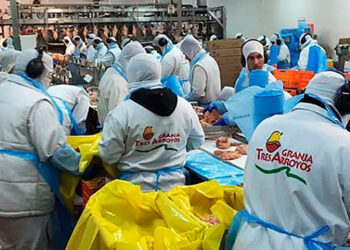 Granja Tres Arroyos: ordenan la reincorporación de 1.200 trabajadores en Buenos Aires