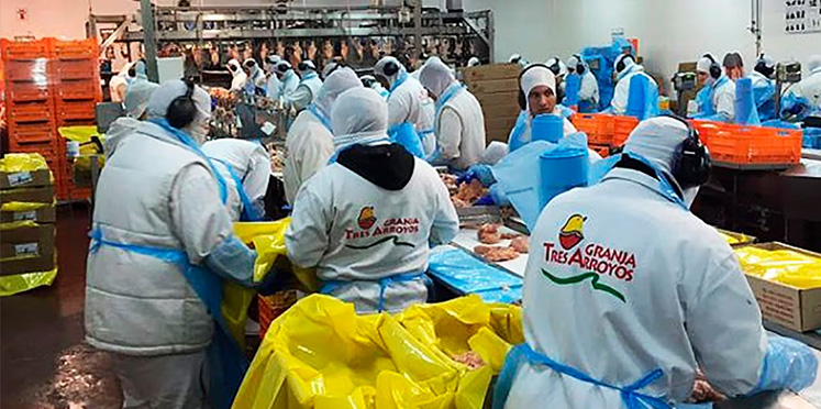 Granja Tres Arroyos: ordenan la reincorporación de 1.200 trabajadores en Buenos Aires