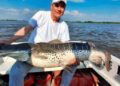 «Corrientes: pescaron un ejemplar de Surubí de más de 40kg y lo devolvieron al agua»