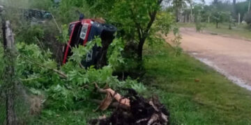 Conductor con alcoholemia positiva volcó con su camioneta tras chocar un árbol