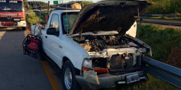 Un ciervo habría provocado un despiste de una camioneta en la Autovía Artigas