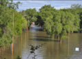 Colón en alerta por la creciente del Río Uruguay